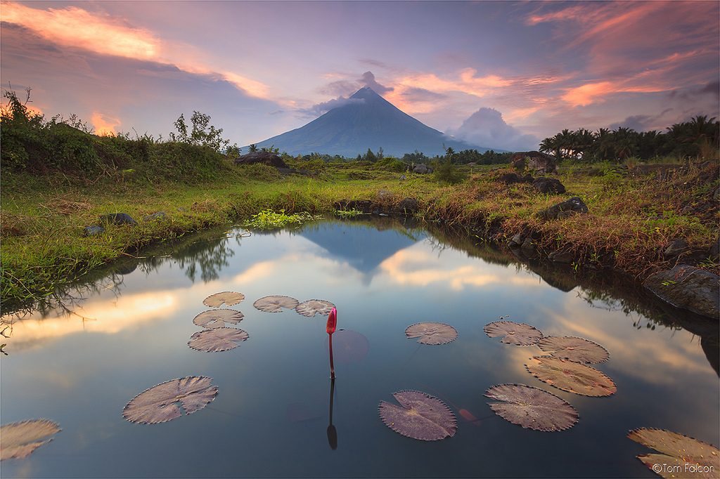 mayon_volcano_tom_falcon